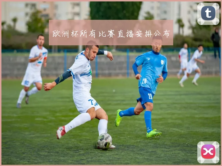 欧洲杯所有比赛直播安排公布