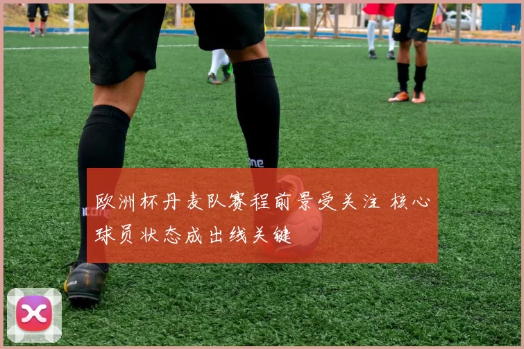 欧洲杯丹麦队赛程前景受关注 核心球员状态成出线关键