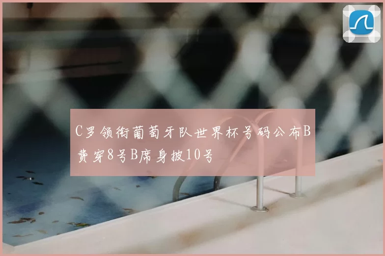 C罗领衔葡萄牙队世界杯号码公布B费穿8号B席身披10号