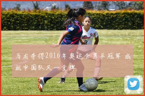 马龙夺得2016年奥运会男乒冠军 成就中国队又一金牌