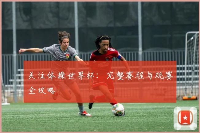 关注体操世界杯：完整赛程与观赛全攻略